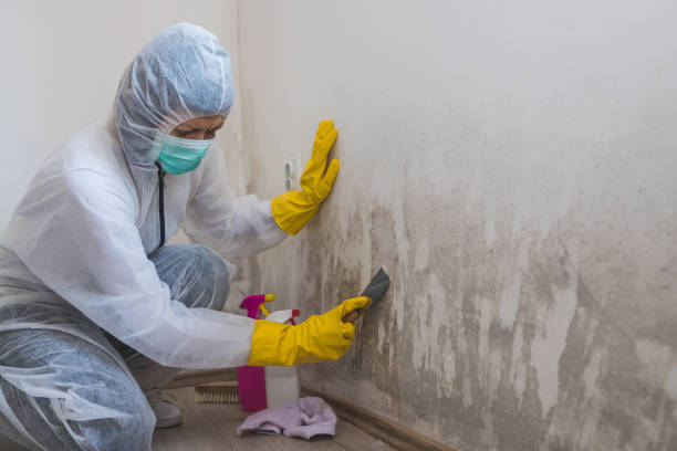 Mold Remediation for Vacation Homes in Doffing, TX